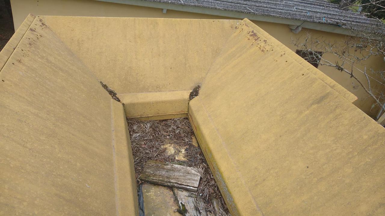 PHOTO-2024-07-03-15-36-10 (1).jpg